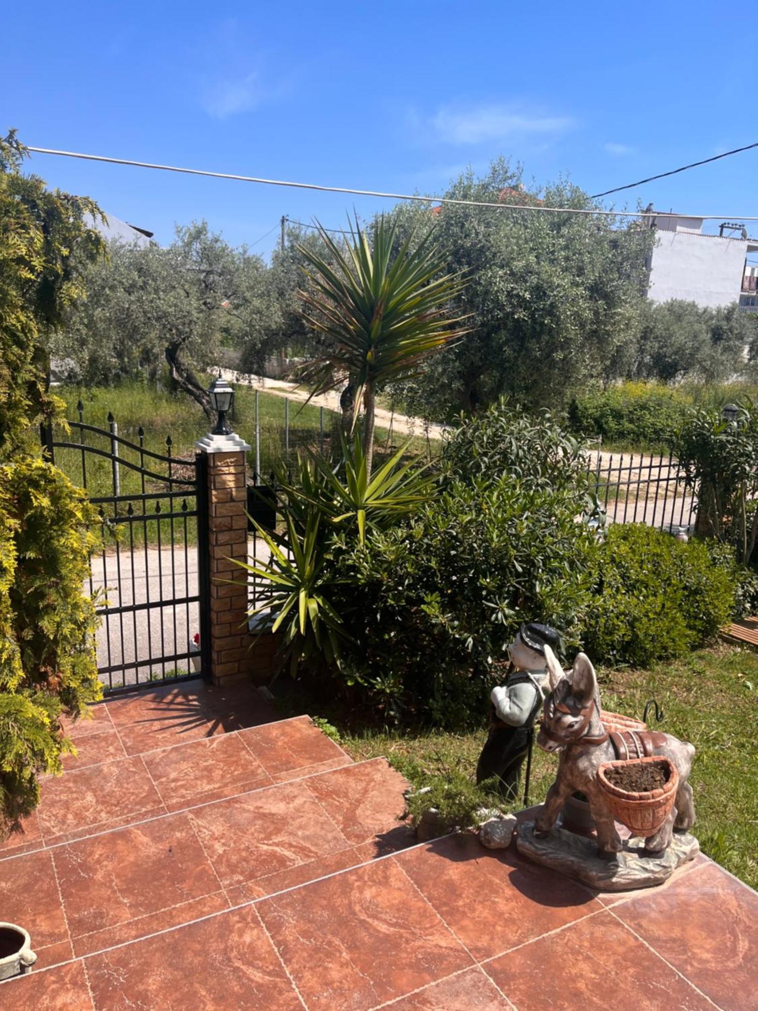 Apartamento Alrose Limenaria  Exterior foto
